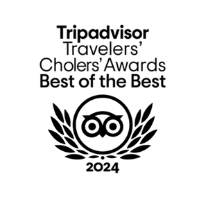 2024 TripAdvisor Transparent